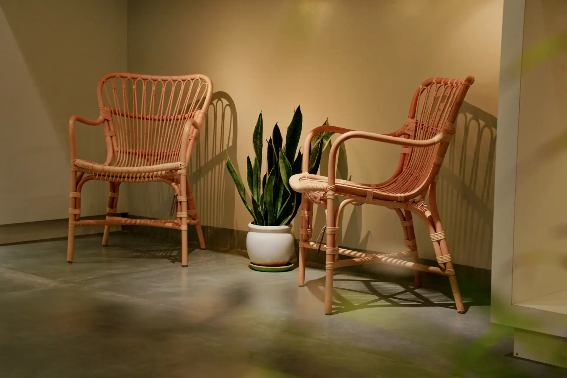 Two Rêve Rattan architectural cane chairs sitting indoors under warm lighting.